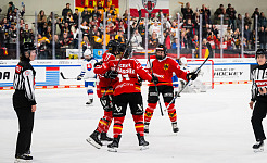 cp F GER SVK DCup25 166k