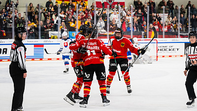 cp F GER SVK DCup25 166k